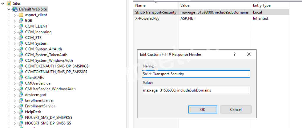 Setting the Strict-Transport-Security header in IIS 10.0 on Windows Server 2016